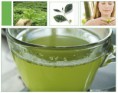 /album/fotogaleria-catalogo-de-productos/te-1-copia-jpg3/